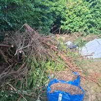 525901140_122189075300312207_3156823142409264280_n